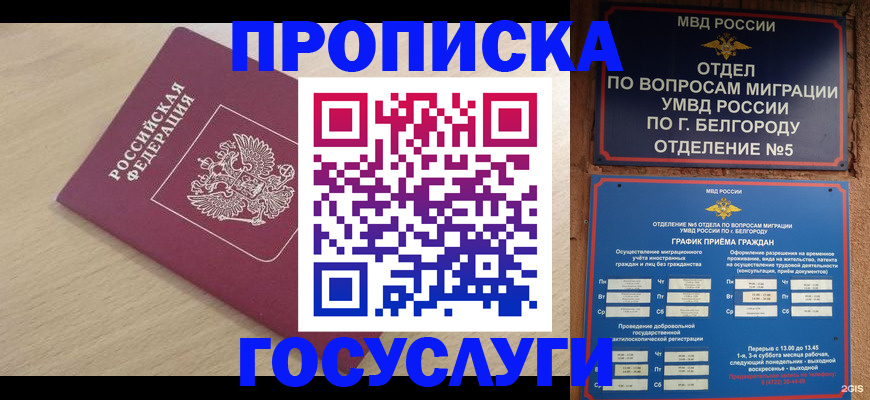 прописка законно в Змеиногорске
